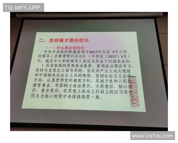 本土拓展与中央脉搏的协同发展探讨与思考