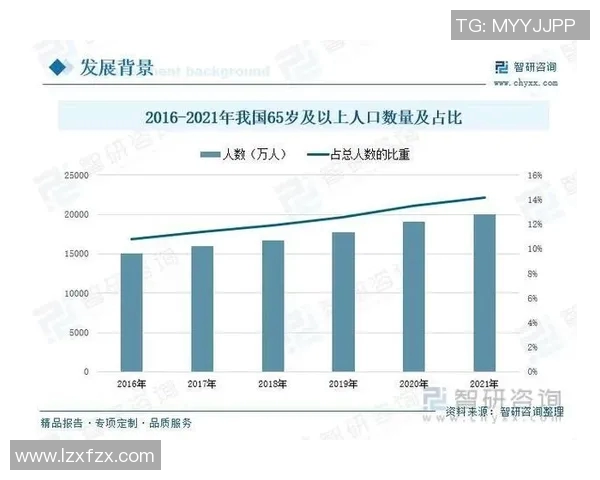 广州排球队整体压制表现分析与未来发展建议