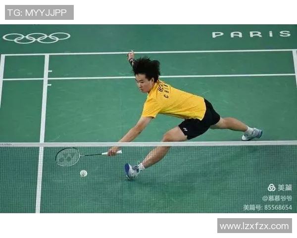 深圳羽毛球队个人能力分析与提升策略探讨